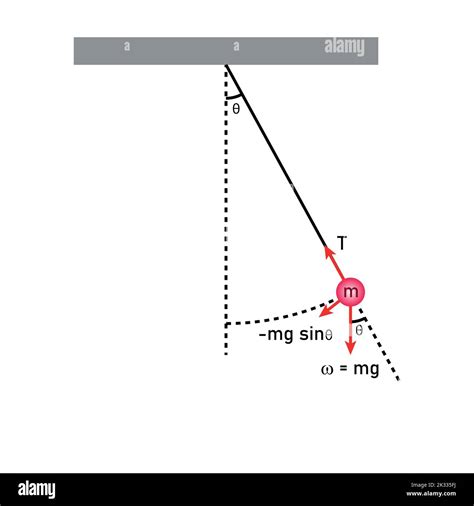 Diagram of simple pendulum harmonic motion Stock Vector Image & Art - Alamy