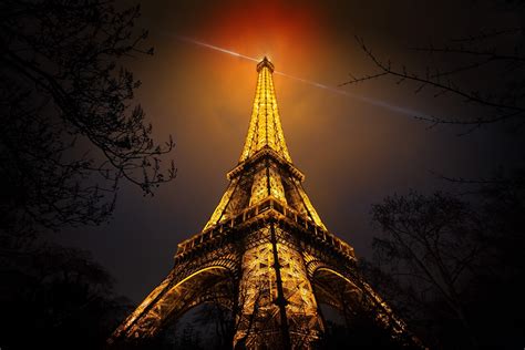 Wallpaper : black, night, urban, red, branch, evening, tower, Christmas Tree, France, Paris ...