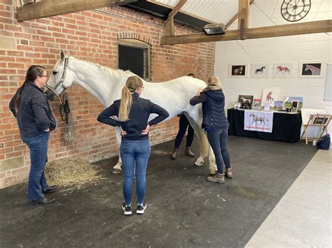 Developing Palpation for Equine Therapists - with Gillian Higgins, Horses Inside Out — Jessica ...