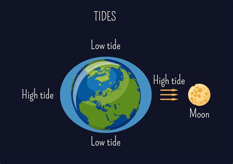 Curious Kids: How does the Moon, being so far away, affect the tides on ...