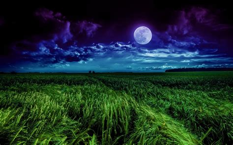 Moonlight Nature Wallpaper