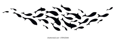 Fish Silhouette Stock Photos - 359,689 Images | Shutterstock