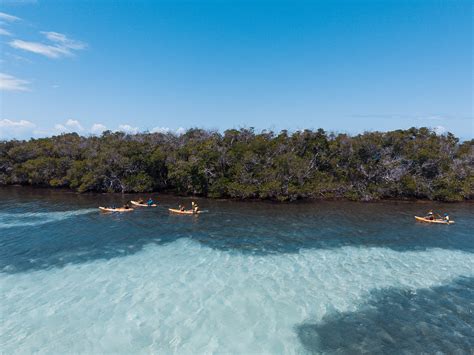 Six Days of Underwater Adventures in La Parguera | Discover Puerto Rico