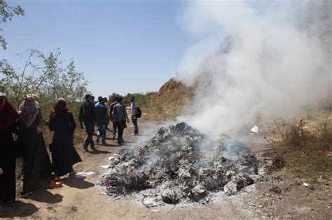 The Rapid Degradation of Wadi Gaza | EcoMENA