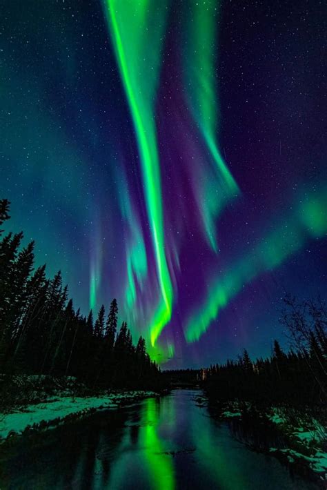 Chena slough North Pole | Northern lights photography, Northern lights ...