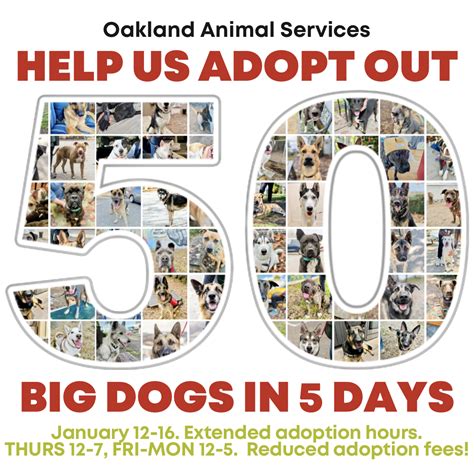 Oakland Animal Services – Oakland’s only open admissions shelter