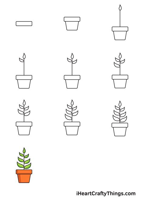 Plant Drawing — How To Draw A Plant Step By Step