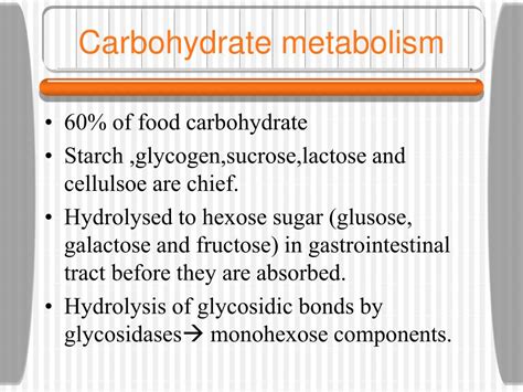 PPT - Carbohydrate metabolism PowerPoint Presentation, free download ...