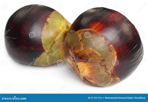 Tal Fruit of Indian Subcontinent Stock Photo - Image of agricultural ...