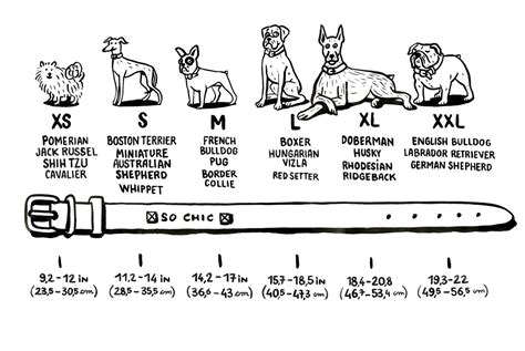 Sizing Chart – Petsochic