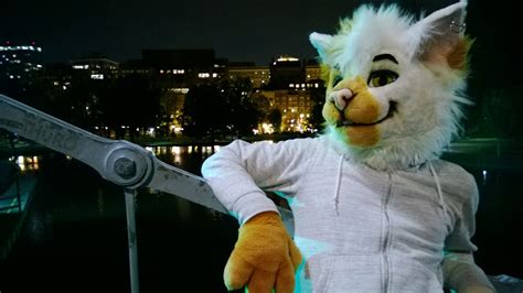 Smudge fursuit around Boston, Halloween 2013 #2 — Weasyl