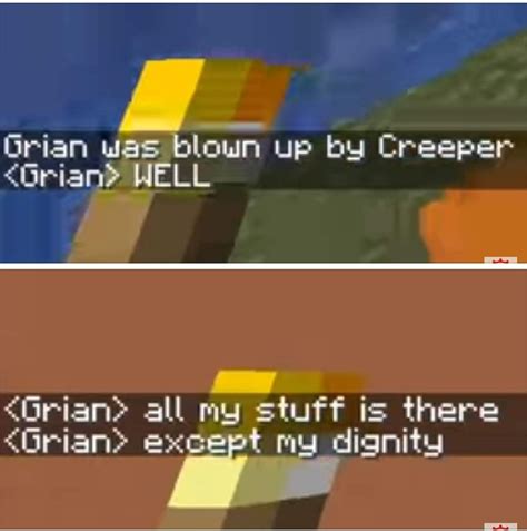 Hermitcraft chat when Grian died | Minecraft funny, Really funny memes ...