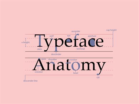 Typeface anatomy - inbosekaX