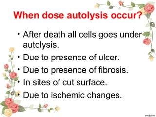 Autolysis pathology ppt | PPT