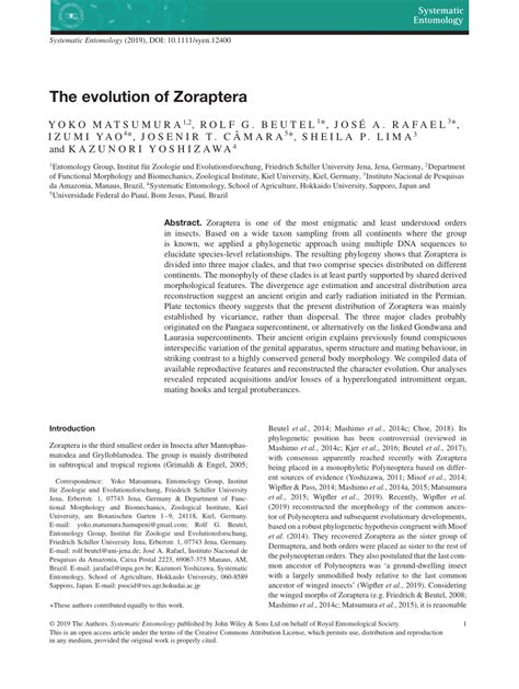 (PDF) The evolution of Zoraptera