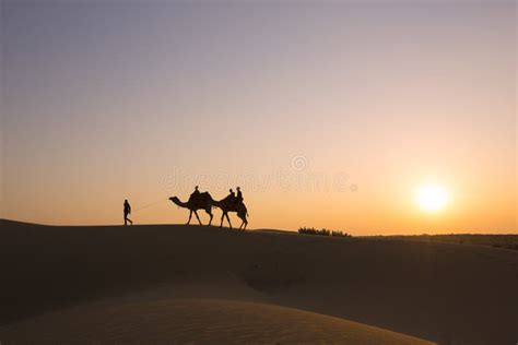 Silhouette Of Camels In The Desert On A Sunset Background Stock Photo - Image of dune, evening ...