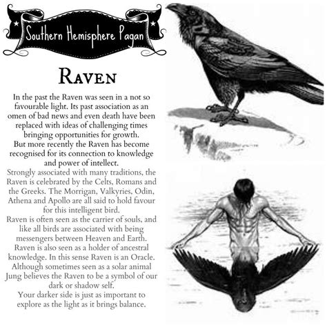 Pin by Secrets of the Shadows on Animal Medecine~Totem Energy~Spirit Guides~ | Animal spirit ...