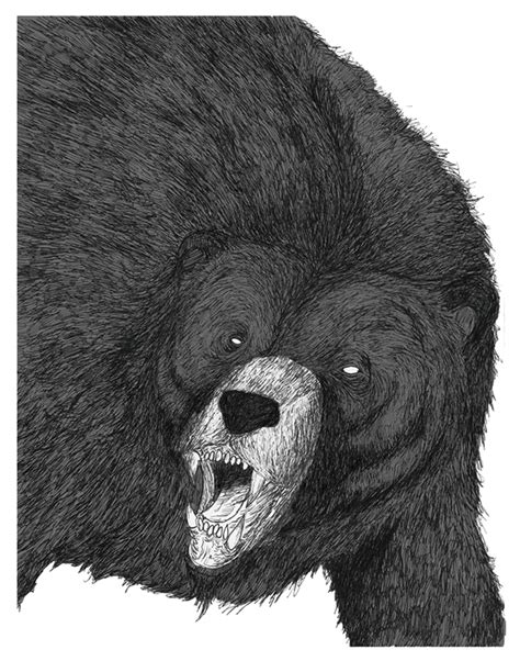 Grin and Bear it on Behance