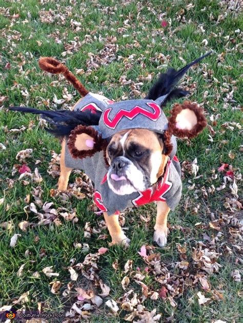 Flying Monkey Dog Costume DIY - Photo 3/4