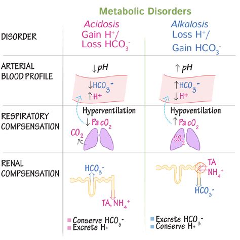 Physiology Glossary: Acidosis & Alkalosis - Causes and Compensations | ditki medical ...