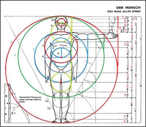 A Human Body Mathematical Model Biometric Using Golden Ratio: A New Algorithm | IntechOpen