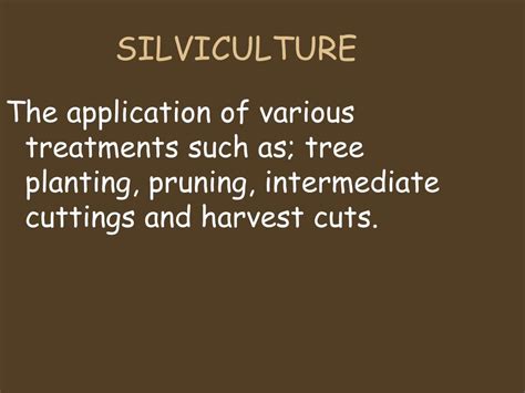 PPT - SILVICULTURAL PRACTICES PowerPoint Presentation, free download ...