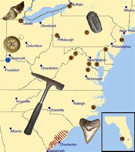 fossil locations activities https://www.pinterest.com/themodernhippie/rocks-fossils/ | State ...