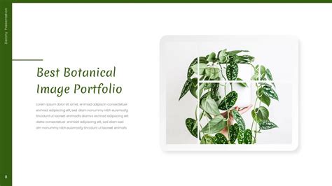 Best Nature Themes & Templates for Presentation - SlideKit