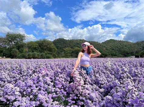 Hokkaido Flower Park Khao Yai: Colourful Gardens With Mountain Views