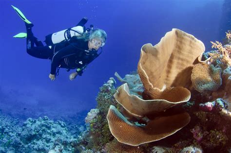 Willis islets in the Coral Sea are 250m east of the coast.