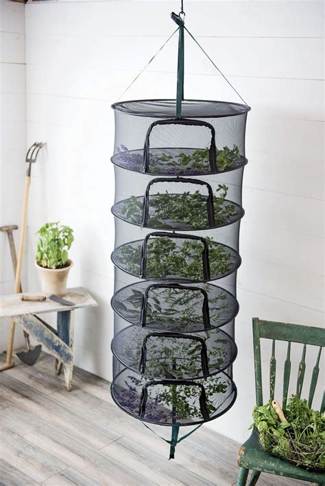 Hanging Drying Rack, Herb Drying Racks, Herb Rack, Garden Plants, Diy Garden, Summer Garden ...