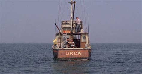 In Jaws (1975) - Quint goes to hunt the shark in his boat Orca. Orcas in real life, otherwise ...