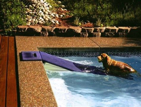 A Floating Dog Ramp, maybe one day we'll have a pool to put this in! #dogramp | Dog ramp, Dog ...