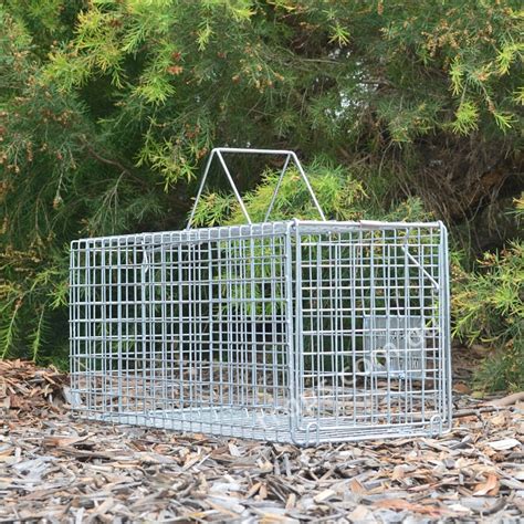 Rabbit Cage Traps - Professional Trapping Supplies