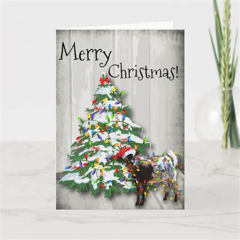 Funny Little Christmas Goat Holiday Card | Zazzle