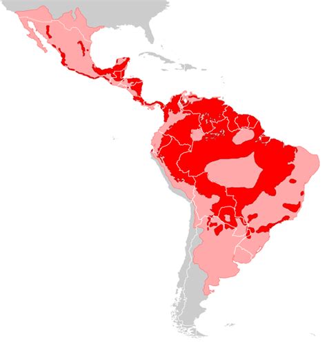 Image: Panthera onca distribution