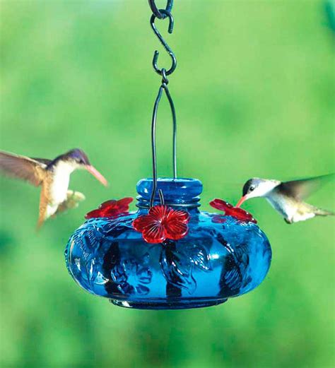 Glass Hummingbird Feeder, Bloom Calliope | Wind and Weather