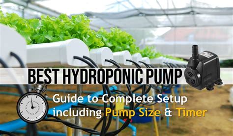 Best Water Pump For Hydroponic & Aquaponic [Size Guide & Timer setup ...