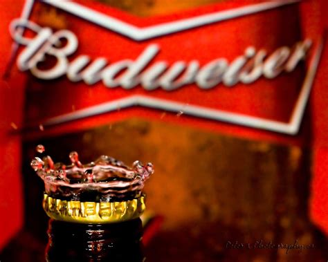 Budweiser Wallpaper Logo Wallpaper Hd, 1920x1200 Wallpaper, World ...