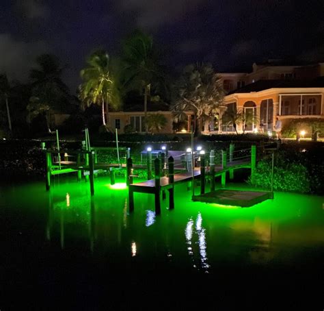 Why Are Dock Lights Green? – Underwater Fish Light