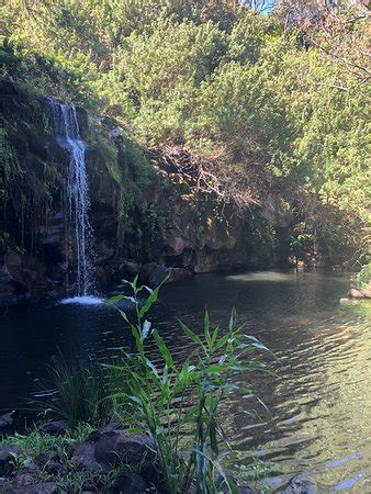 Kohala Waterfalls Adventure (Kailua-Kona) - 2020 All You Need to Know BEFORE You Go (with Photos ...