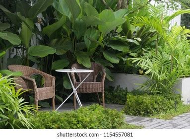 Couple Chair Garden Background Stock Photo 103418126 | Shutterstock