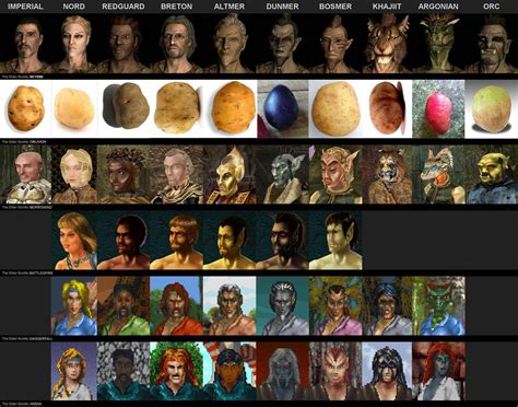 The evolution of all the races in Tamriel. Really makes you appreciate ...