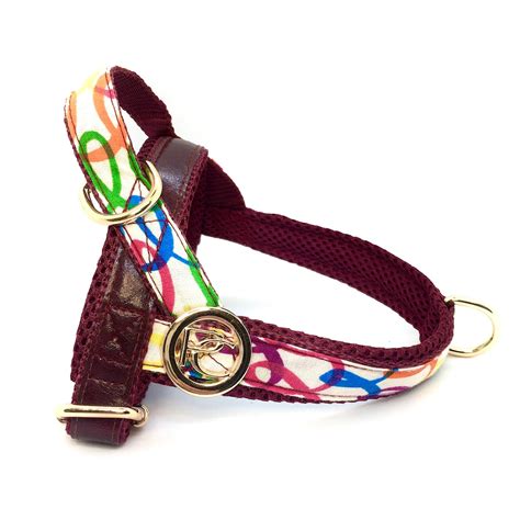 Designer No Pull Dog Harness Personalized Small to Medium Breeds ...