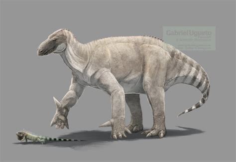 Iguanodon | Prehistoric Wiki | Fandom