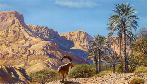 Israel Desert Oasis