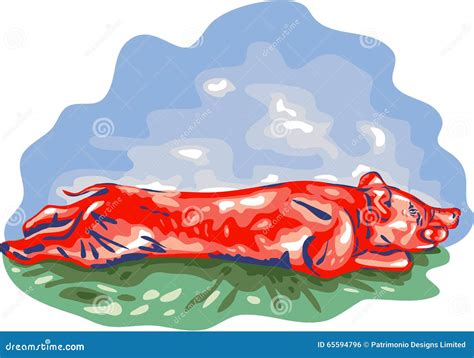 Roast Pig Lechon Roasting Color Drawing Royalty-Free Stock Photography | CartoonDealer.com ...