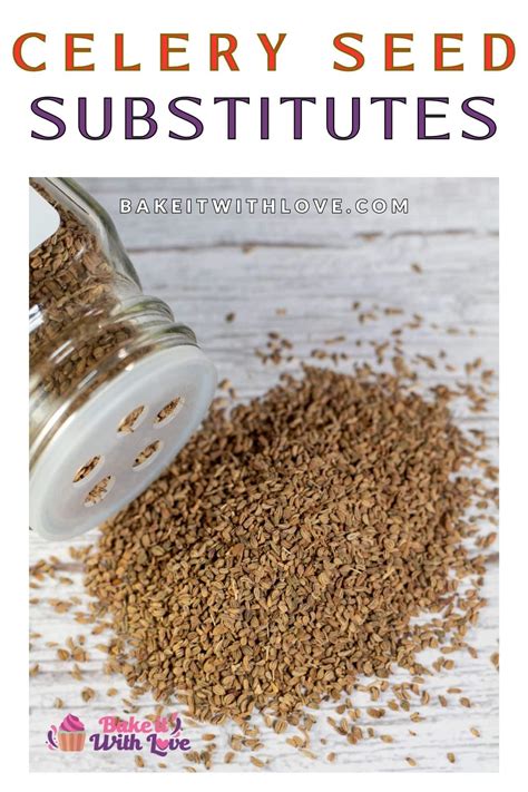 Best Celery Seed Substitute: 10+ Great Alternatives | Bake It With Love