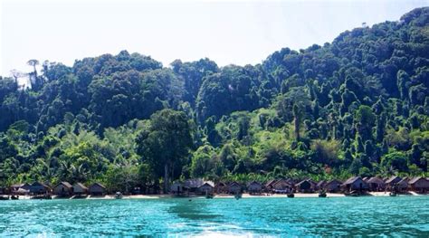 Surin Islands Speedboat Snorkeling Tour by Seastar from Phuket, Thailand