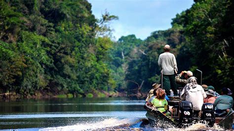 Amazon in Peru complete travel guide | Blog Machu Travel Peru